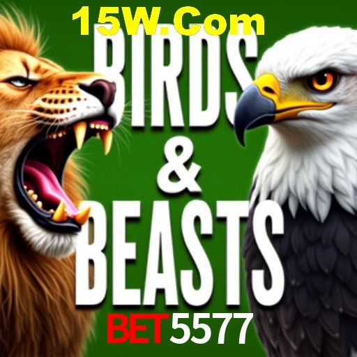 Apostas Esportivas na BET5577: Um Guia Completo