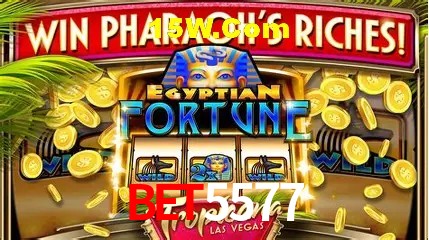 BET5577 - cassino ao vivo